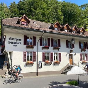 Historic Hotel Steinbock